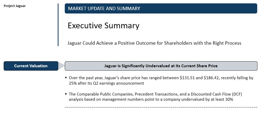 Executive Summary Slide - Before